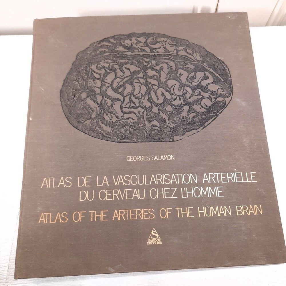 Atlas of the Arteries of the Human Brain Georges Salamon ring binder ONLY